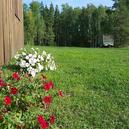 Willa Priedisi Agłona Pokój zdjęcie