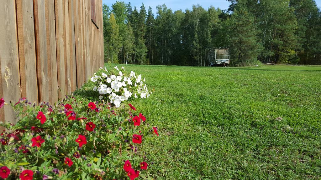 Willa Priedisi Agłona Pokój zdjęcie